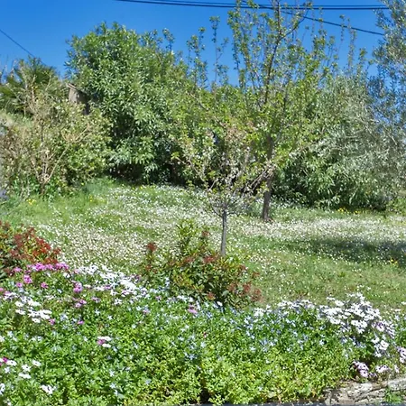 Merusellu Βίλα *